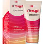 Traugel